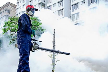 226201523037PMMosquito-Control-Service-Malaysia-1 226201523037PMMosquito-Control-Service-Malaysia-1